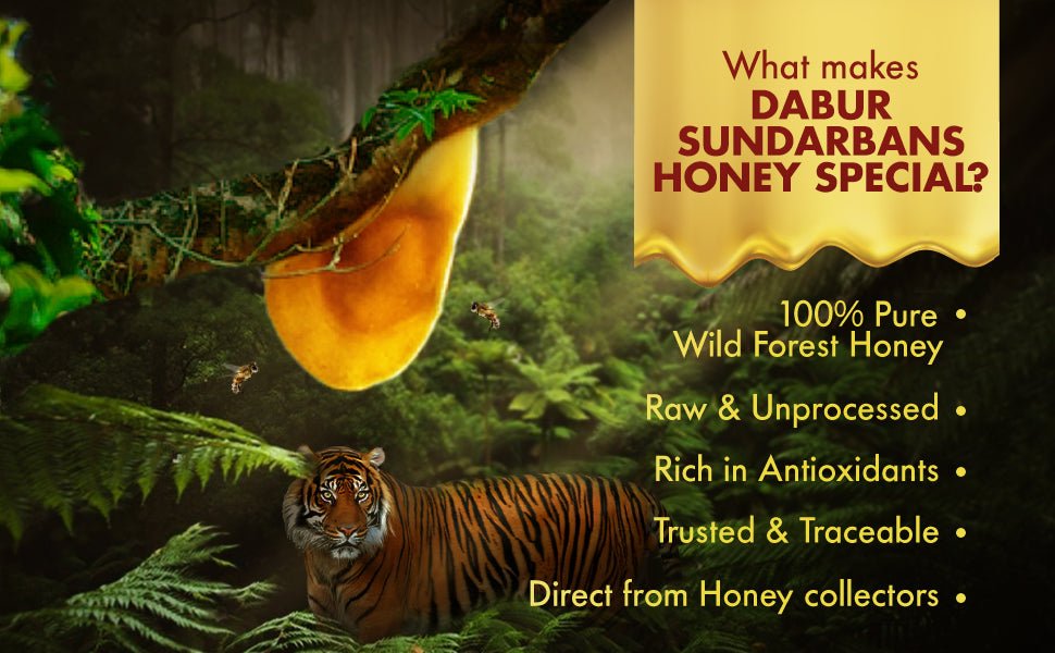 Dabur Sundarbans Wild Forest Honey 500g - Dabur Shop BD