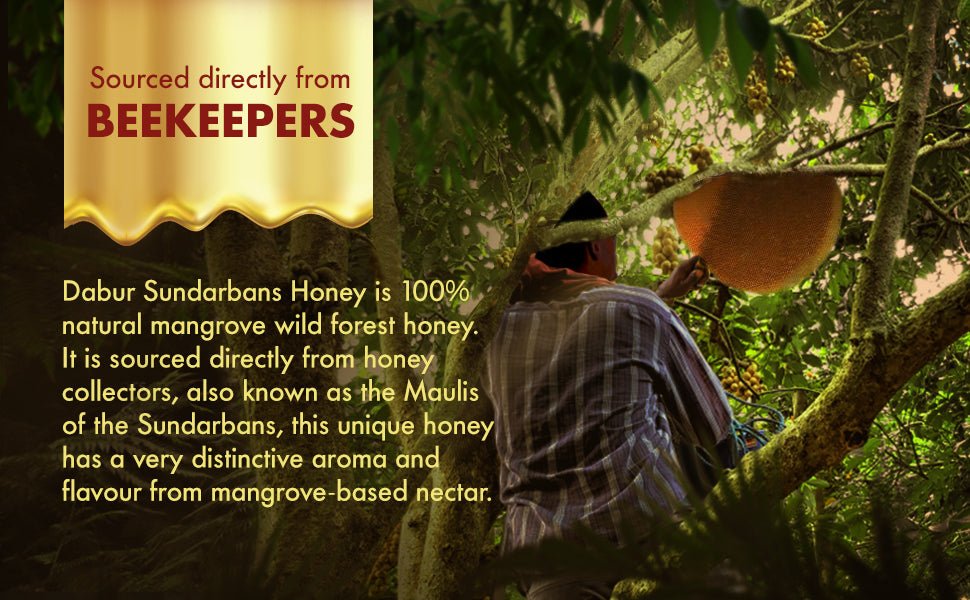 Dabur Sundarbans Wild Forest Honey 500g - Dabur Shop BD